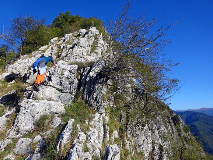 etwas weiter oben wird der Kamm zum aussichtsreichen Grat