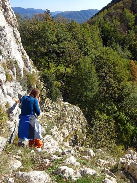 beim Abstieg keinesfalls zu tief in die steilen Schrofen der Südflanke absteigen, sondern auf eine kleine Schulter unterhalb einer Baumgruppe nahe der Südkante zuhalten ...