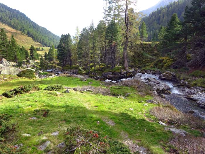 ... und Naturlehrpfad (Schautafeln über die heimische Vegetation in den verschiedenen Höhenlagen)                              