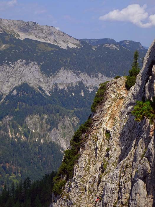 ... über den Markussteig (A/B) zurück zum Einstieg nehmen, ...