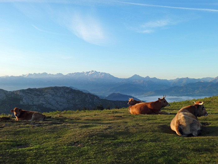 Almidyll gegen die Picos, die sich heute unverhüllt zeigen