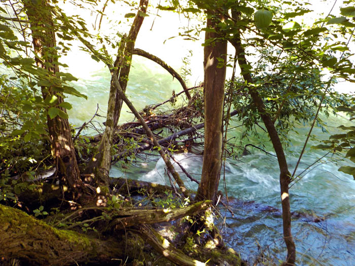 ... aus dem Baumverhau am rechten Ufer heraus; was die Stelle wiklich kann, verrät der kursive Absatz im Text