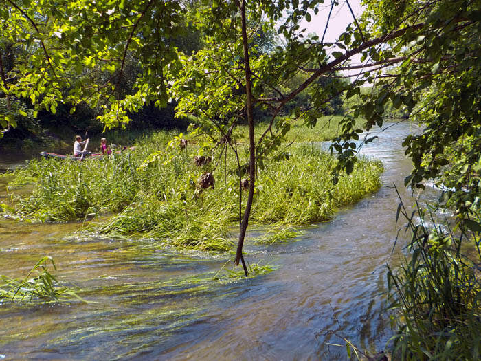 es folgt eine ungemein reizvolle Flusslandschaft mit großteils ruhigem Wasser; Grasgassen, weidenden Kühen, ...