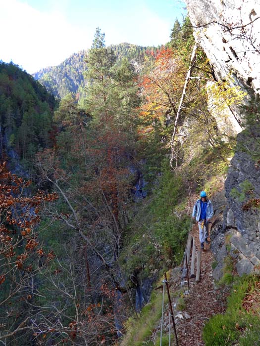 ... in die gut abgesicherten waldigen Steilhänge nördlich oberhalb der Schlucht