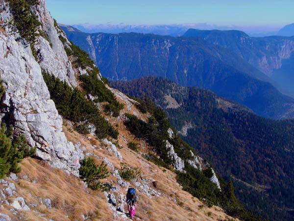 Ronja legt die letzte große Querung unterhalb der NO-Grat-Schneide auf eigenen Füßen zurück; im Hintergrund Sarstein und Zinken, am Horizont links das Tote Gebirge, rechts deutet sich der Grimming an