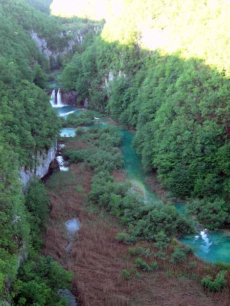 die Korana bildet den Abfluss der Schluchten und Becken, welche wir bis zum obersten See verfolgen werden; frühmorgens oder abends ist die beste Zeit zum Besuch des Parks