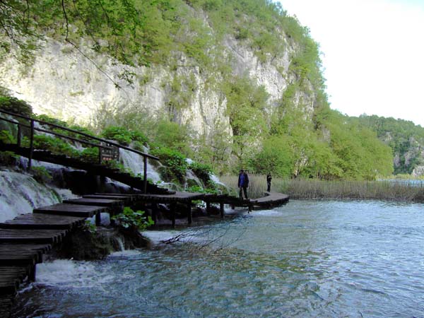 kilometerlange Holztreppelwege ermöglichen das Vordringen in eine zauberhafte Welt