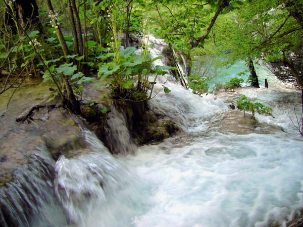 ... mit quirligen Kaskaden; ein komplexes Wechselspiel von Wasser, Luft und Vegetation zaubert ständig neue Landschaftsformen