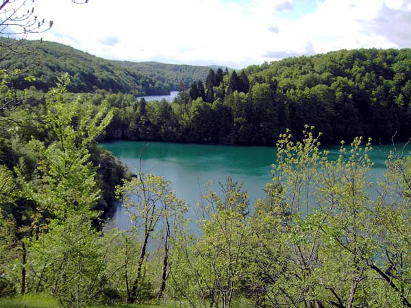 der Zustieg von NW an die Ufer des Ciginovacsees, eines der beiden obersten Gewässer, gleicht mit seinen Buchenwäldern einer Wienerwaldwanderung (3); bei einem weiteren Vordringen ins interessante gebirgige Hinterland des Nationalparks muss man offiziell aufs Auto verzichten