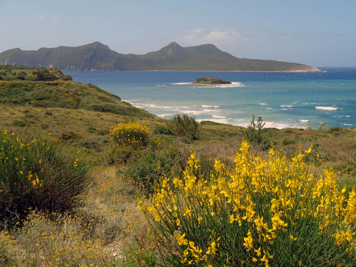 der ansprechenden Südküste Messeniens sind die Inoussesinseln vorgelagert; vor dem Nordkap der Insel Sapienza (im Bild) liegen die Ladungen einiger antiker Schiffe auf Grund, ein archäologischer Unterwasserpark ist geplant