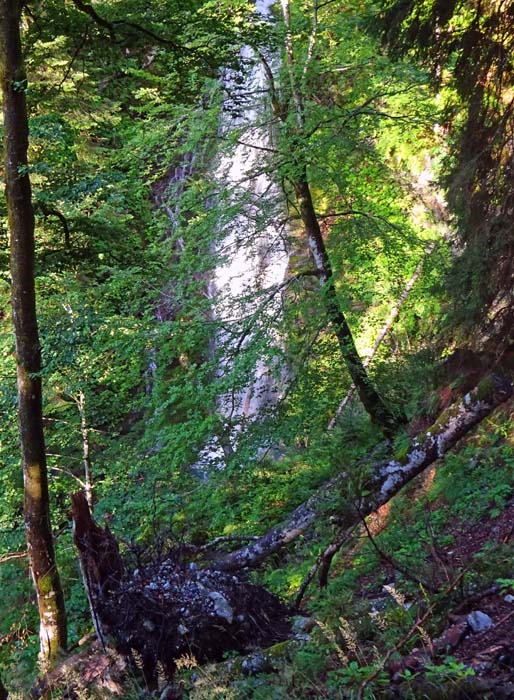 der Würmlacher Wasserfall versteckt sich links vom Aufstieg im steilen Wald