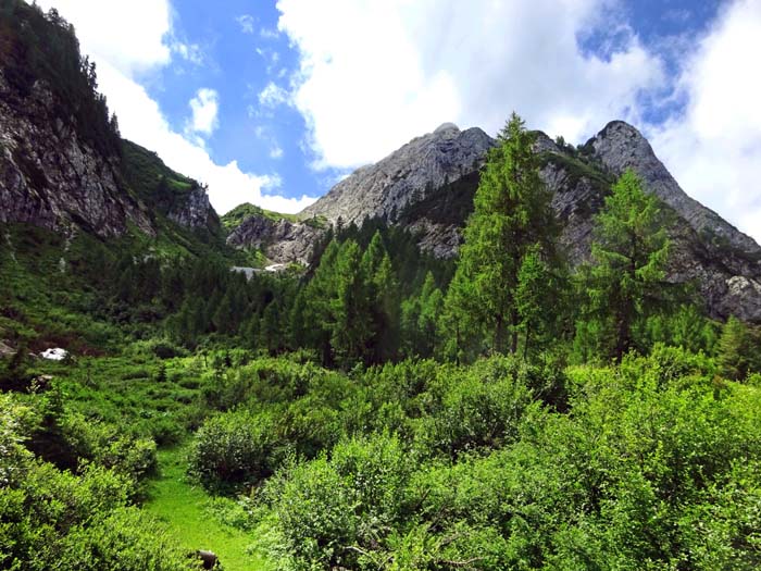 auf der Schrockgebirgsalm unterhalb der Schlucht (links hinten); es folgt ein langwieriger Talabstieg, zum Großteil über Forststraßen, ins Bergsteigerdorf Mauthen