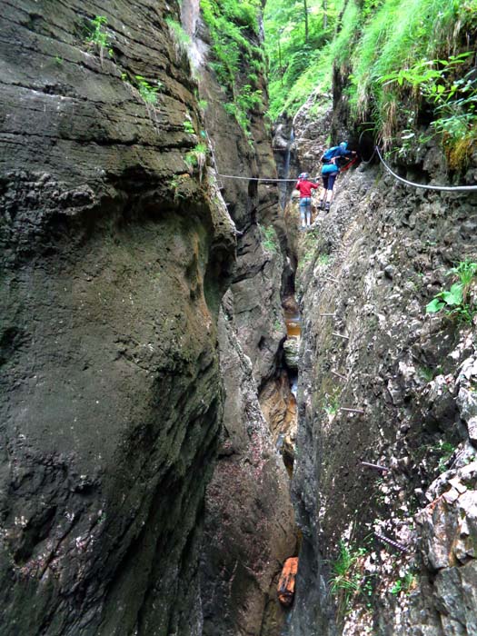 ... zur ausgefallensten Mutprobe der Ferrata, dem „Gattsprung“, ...