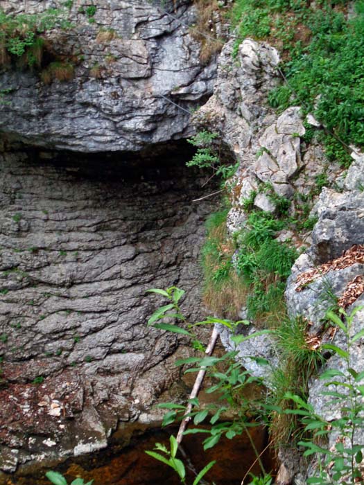 ... wo die „Dschungelbrücke“ als siebte und letzte Kluftquerung den Schlusspunkt setzt