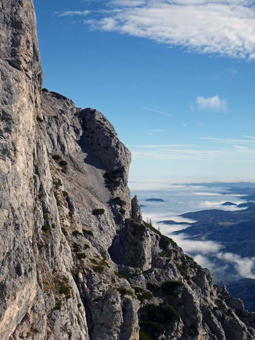 ... zu einer breiten Schulter mit Blick aufs herbstliche Nebelmeer in Richtung Gloggnitz; hier kommt über eine Rampe der alte Haidsteig herauf