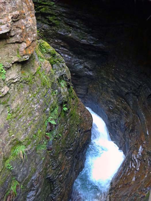  ... lässt aber aufgrund seiner Enge und seines fantastischen Formenreichtums das Herz jedes Naturbegeisterten höher schlagen                           