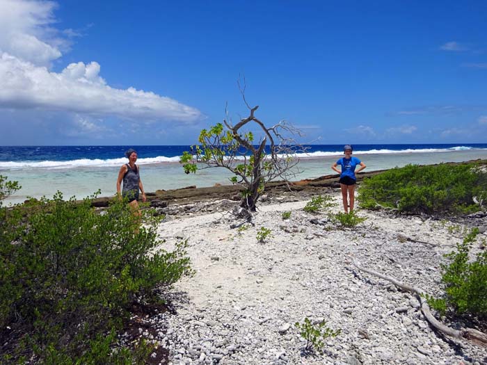 keine drei Minuten ist man unterwegs von der Lagune hinaus zur Meerseite des Atolls, ...