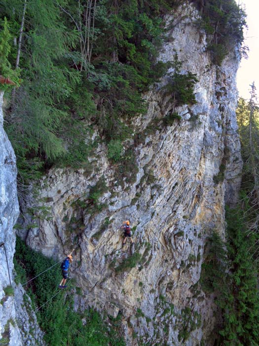 nach dem „Dobelfelsen“ eine Zweiseilbrücke; der Vordermann kann sich an genau dieser Stelle für den Abbruch entscheiden (Ausstieg Nr. 2 - schnurgerade hinauf in den Wald) oder horizontal weiter nach rechts in die „Arena“ hangeln