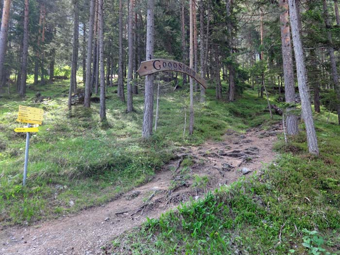 den Auftakt der Runde bildet (gleich wie beim Red Bull Dolomitenmann-Bewerb) der untere Teil des Goggsteigs