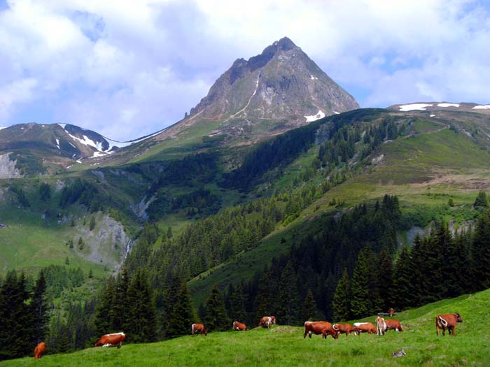 und von der Stangenalm hoch über dem hintersten Mühlbachtal