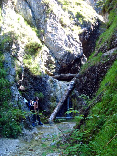 schroffe, ungangbare Schluchten - ein Markenzeichen des Gebietes; diese Klamm überschreitet man im untersten Teil des Anstiegs auf ca. 950 m