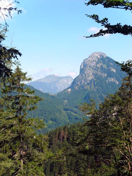 Rückblick gegen NNW auf Sparber und Schafberg