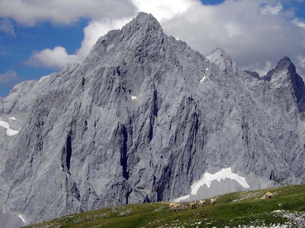 Schafherde unterm Gipfel, darüber das Dreigestirn Torstein-Mitterspitz-Dachstein