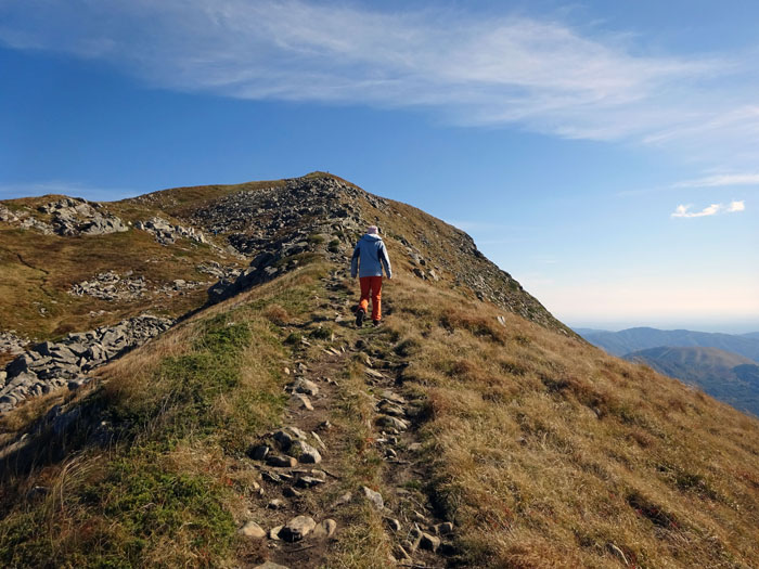 zuvor aber noch auf dem NW-Kamm zum Monte Rondinaio, erst über Gras, ...