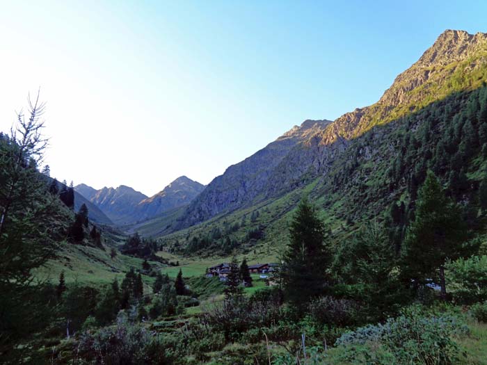 die Brugger Alm bei Sonnenaufgang; ganz hinten Degenhorn (links) und Stortenspitze (s. Archiv Schitouren - Wagenstein)