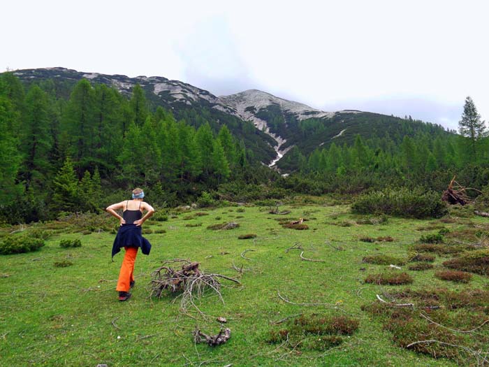 direkt vom Pass weg steigen wir nach links in den Auslauf eines Bachbetts, welches vom Sandeck herunter zieht; kurz vor dem Linksknick rechts hinaus auf Wildfährten durch die Latschenhänge und über den freien Westsporn hindernislos zum Gipfel