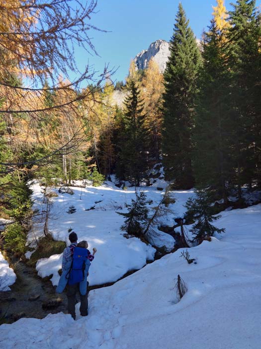 Anfang November schon eine Menge Schnee im Sandlingbachgraben