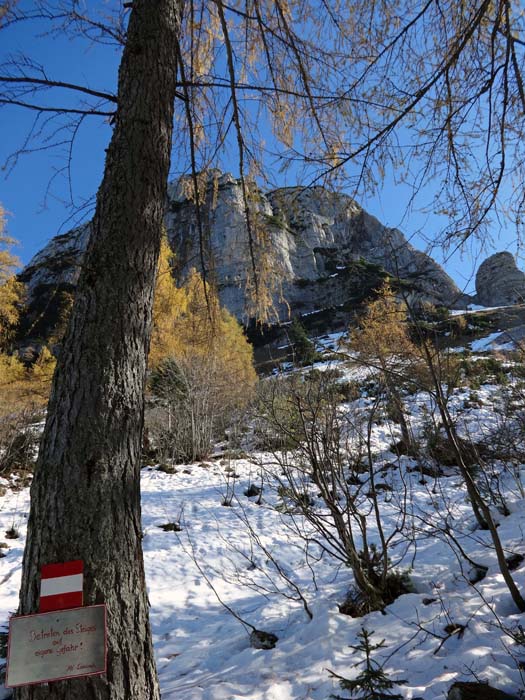 zehn Jahre später wurde das Hörndl bei einem neuerlichen Felssturz bis auf einen kümmerlichen Rest zerstört; die starke Verformbarkeit des Salzstockes im Berginneren führt immer wieder zu Spannungen und Brüchen in den überlagernden Kalkschichten