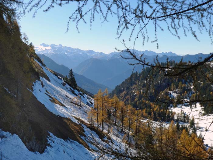 Rückblick vom Einstieg gegen SW auf Sandlingalm, Dachstein und Gosaukamm