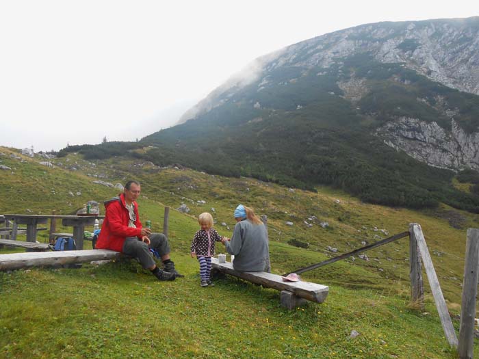 die Gipfelflanke des Hohen Sarstein; noch knapp 300 Hm zum Kreuz