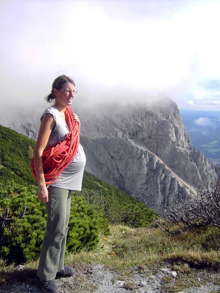 Blick vom Göbl-Kühn-Steig zwischen Waxriegelhaus und Neuer Seehütte auf die Preinerwand