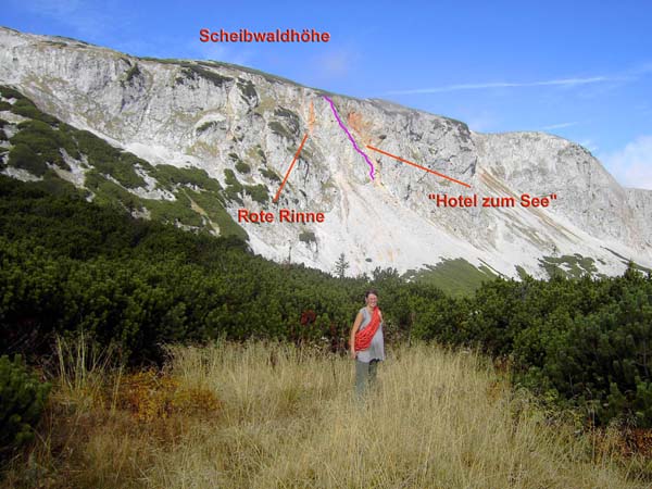 gleich hinterm Plateaurand bei der Neuen Seehütte öffnet sich das gewaltige Latschenmeer der Grünschachen, im W begrenzt von den Wänden der Scheibwaldhöhe und den Lechnermäuern