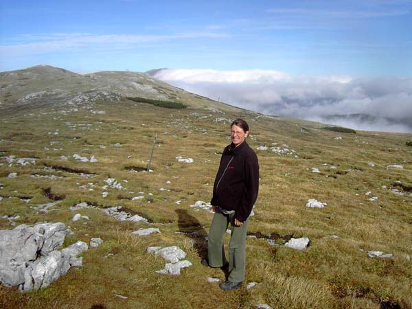 auf der Höhe des Rax-Plateaus; Blick nach N, links die Doppelkuppe der Scheibwaldhöhe