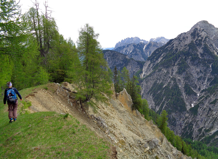 ... laufen wir einen Wiesenkamm hinunter zur Waldschulter des Nudlbichl, ab dort wird die Orientierung wieder problematisch, steile Waldhänge und zwei Rinnen werden gegen Westen gequert ...