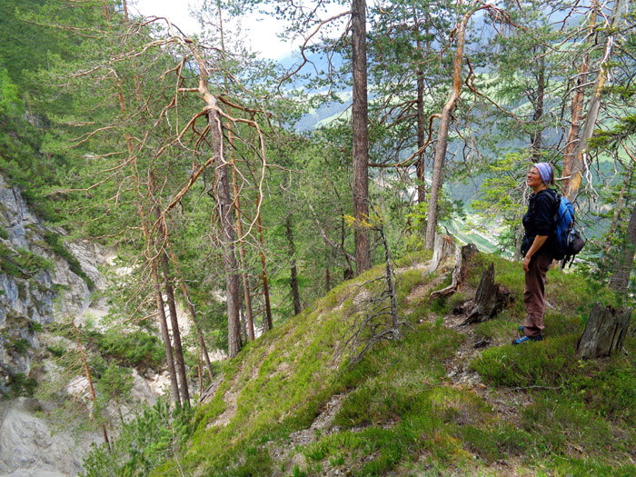 Vorsicht: der Weiterweg über die Schluchten gestaltet sich durchaus abenteuerlich und möglicherweise gefährlich! Wenige Schritte nach der „Kreuzung“ stehen wir auf dem Kopf eines Spornes, der eine kleine Nebenschlucht nördlich begrenzt; links geht's auf wieder gutem Steig in den schottrigen Schluchtgrund hinab ...