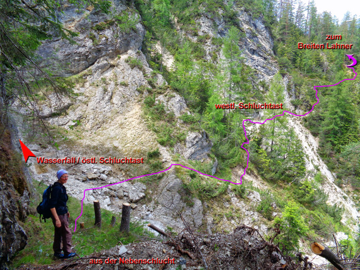 ... und nach etwa 50 m (vor der Engstelle mit Baumverhau) jenseits (links) wieder hinaus auf die grasige Rampe