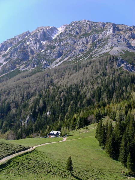 ... mit der Edelweißhütte; darüber die Fadenwände mit der Lahningries, die im Winter eine tolle Schiabfahrt verspricht