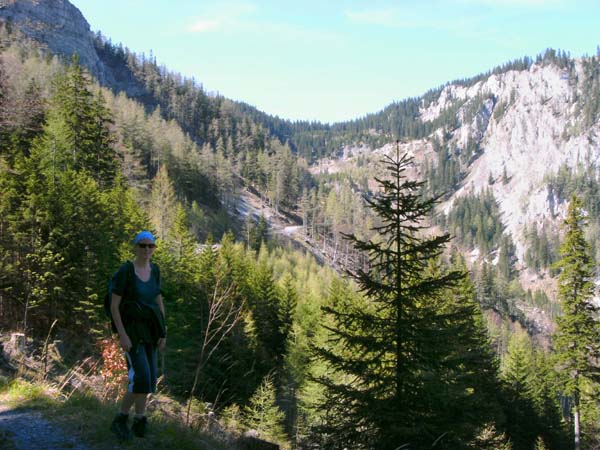 vorbei an der Sparbacherhütte geht's auf dem Fadenweg eher unspektakulär zum Almgatterl hinüber