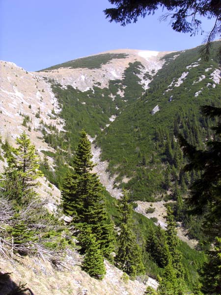 ... geht es steil in den Kolingraben hinunter, der im Winter gleichfalls mit einer tollen 1500 Hm-Abfahrt samt 60 m-Abseilstelle im unteren Teil aufwartet