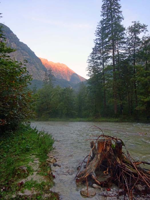 der Torrener Bach (auch Torrener Ache) mündet schon nach 8 km in die Salzach; von der Morgensonne beschienen der flache Ostgrat des Schneibstein