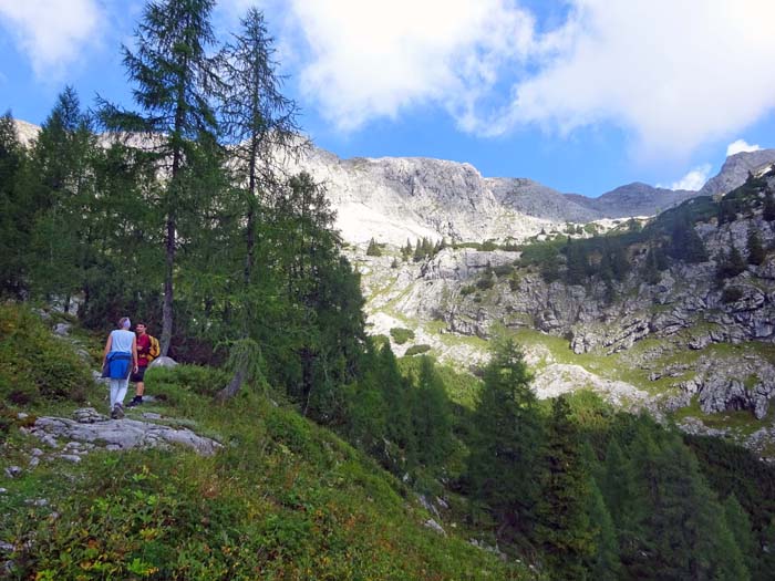 Hinterschlum gegen Norden; durch lichten Hochwald nähern wir uns dem deutsch-österreichischen Grenzkamm