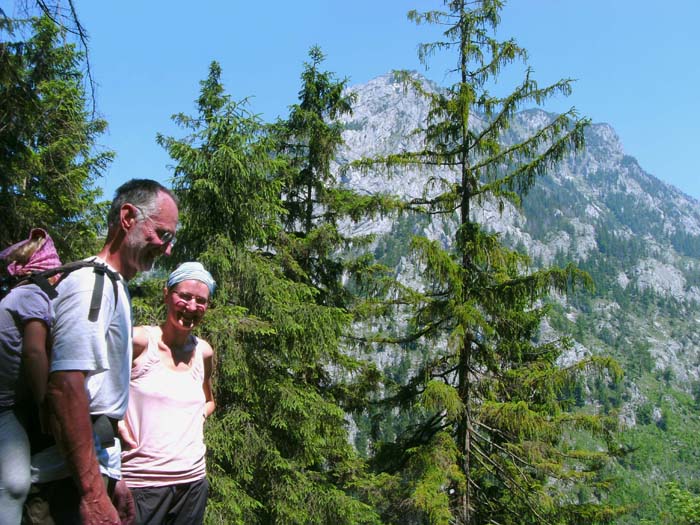 durch steilen Mischwald geht's hinauf zum Ostgrat; gegenüber die ausladende Südflanke des Traunstein