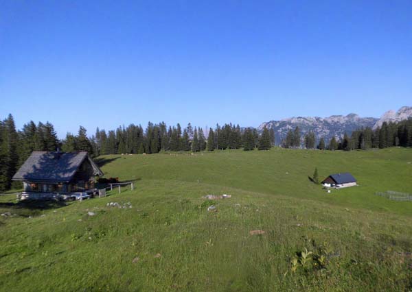 ... gehören zur Brombergalm, 1430 m; Blick nach O zum Toten Gebirge