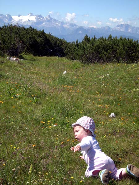 das kleine Gipfelplateau des Hochglegt mit dem Prachtblick zum Dachstein ist eine ideale Krabbelstube für Ronja