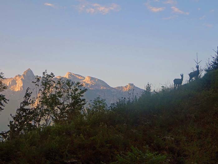 bei der Querung der steilen westlichen Gipfelflanke zeigt sich das Tennengebirge 