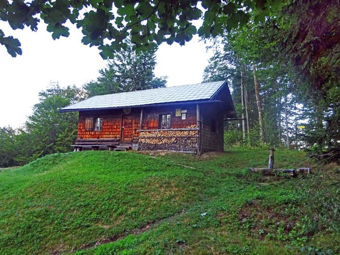 unweit vom Jagdhaus Steinhütte mündet der Steig aus dem Lammertal ein